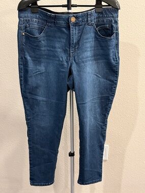 Democracy Indigo Blue Stretch Jeggings - Slim Taper